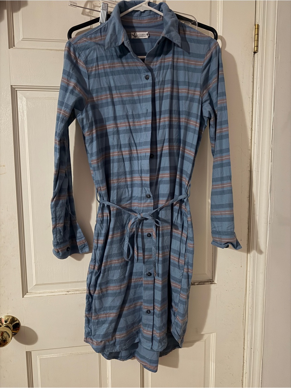 Carve Button-Front Plaid Shirt Dress in Blue